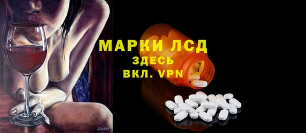 прущие грибы Верея