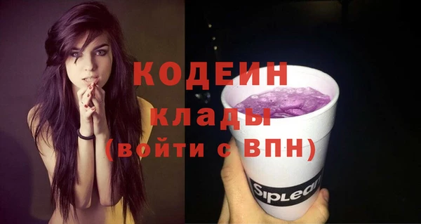прущие грибы Верея