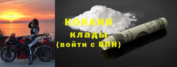 прущие грибы Верея
