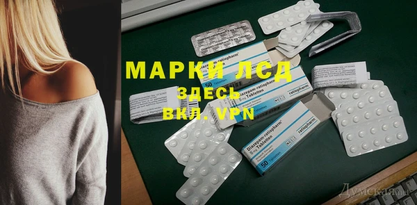 прущие грибы Верея