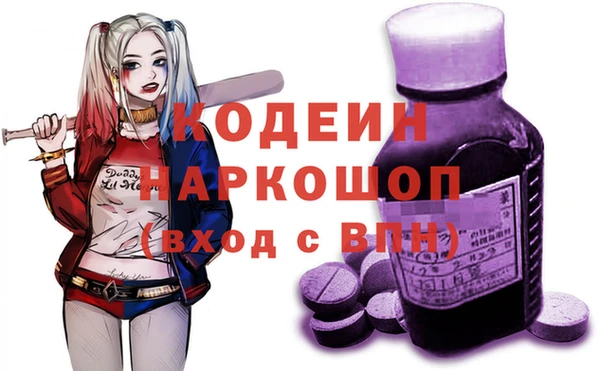 прущие грибы Верея
