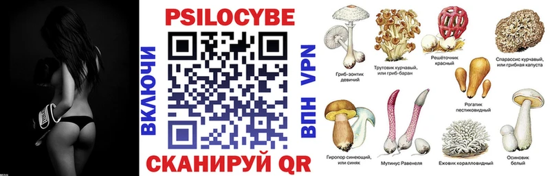 сколько стоит  МЕГА ССЫЛКА  Псилоцибиновые грибы GOLDEN TEACHER  Иноземцево 